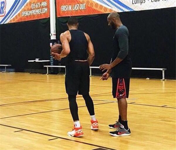 但申花并未 但申花并未